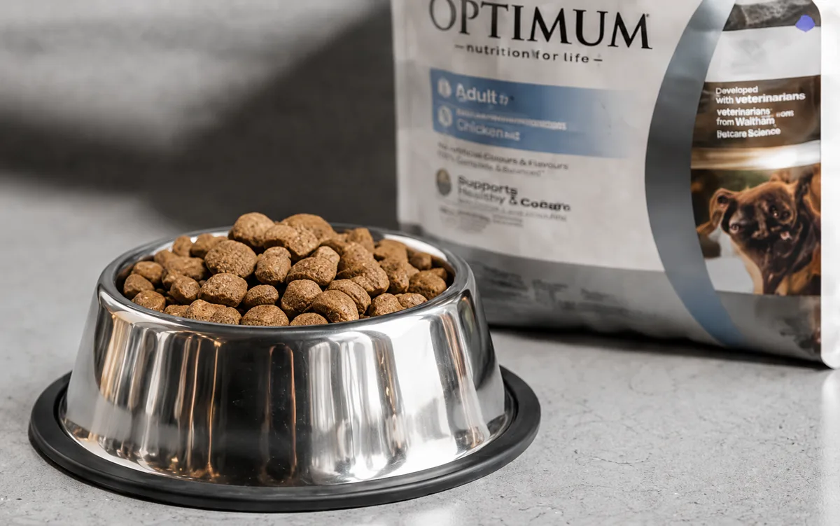 Budget dog food in metal bowl beside dog food bag