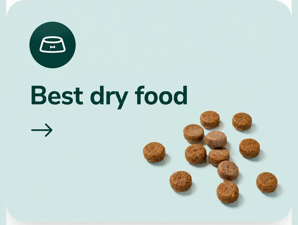 Best dry dog food