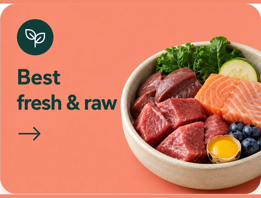 Best fresh and raw dog food