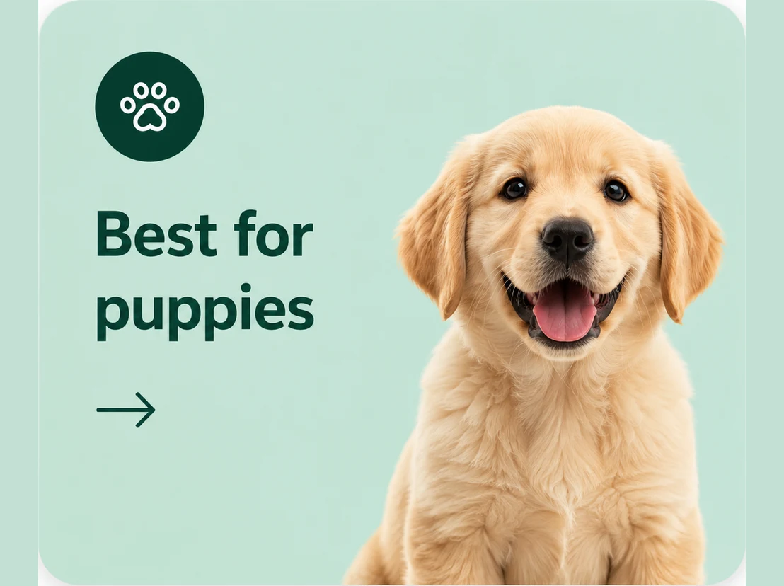 Best dog food for puppies