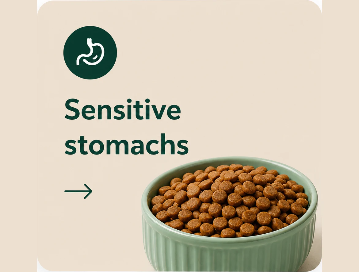 Best dog food for sensitive stomachs