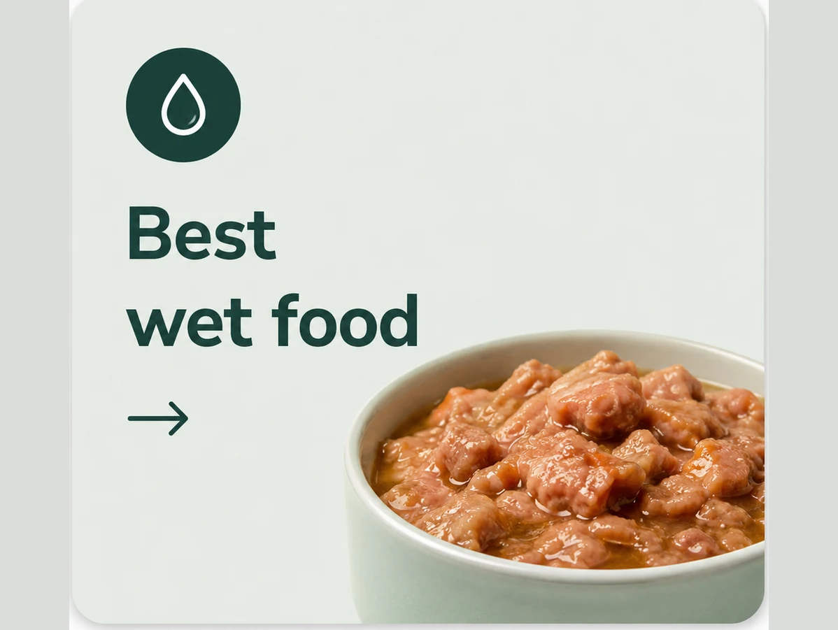 Best wet dog food