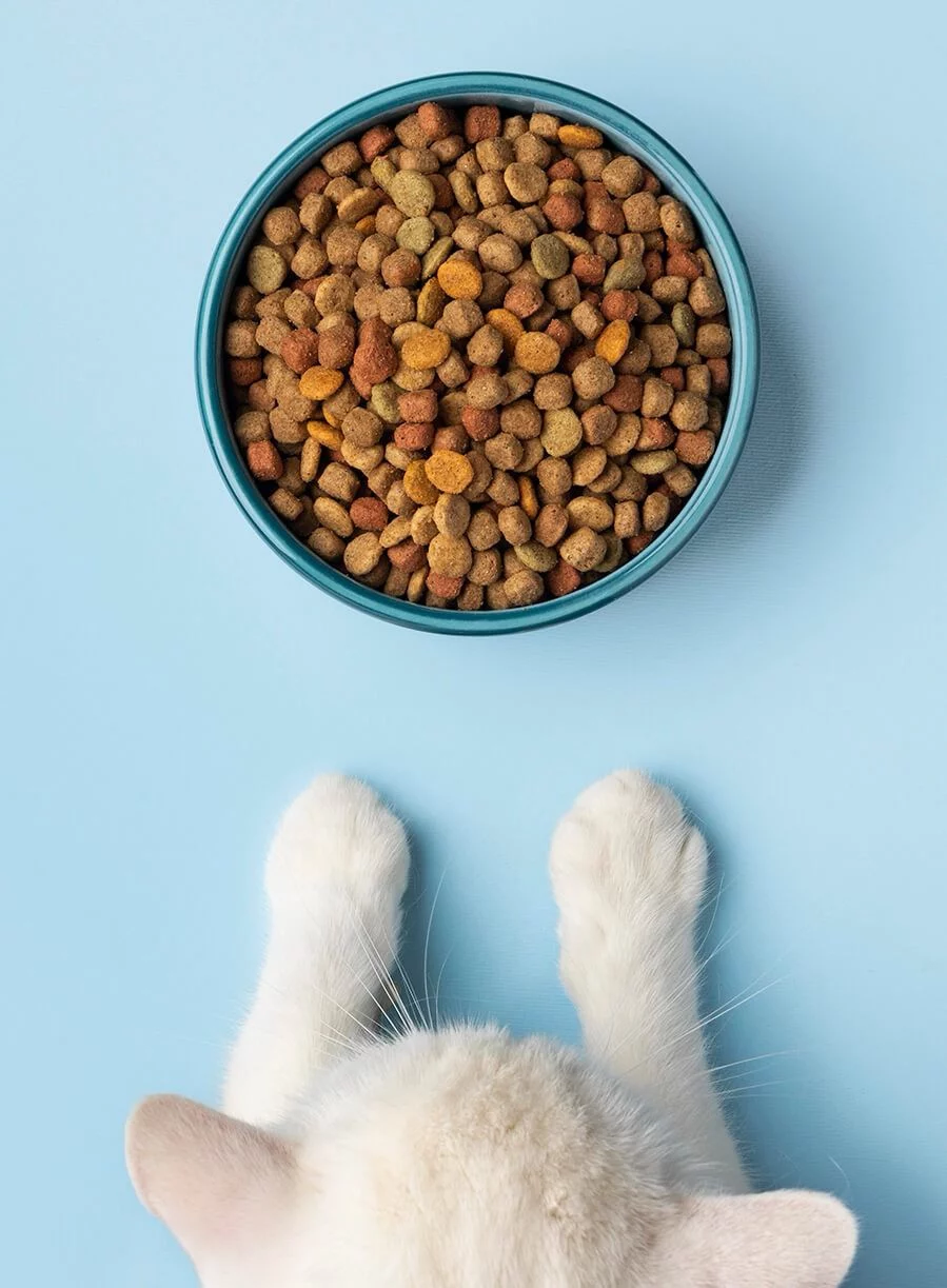 Pet Circle delivery