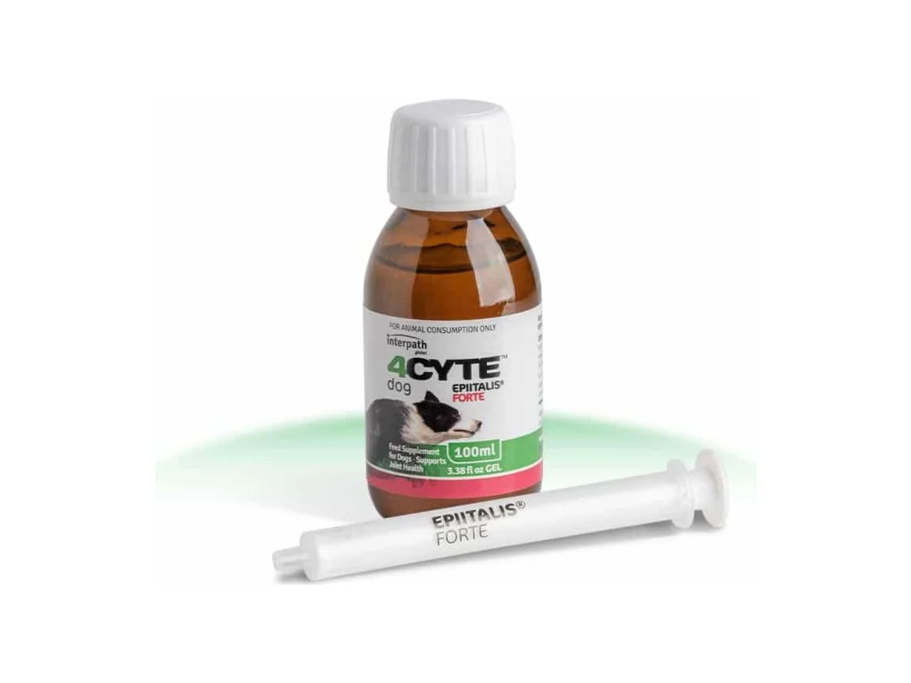 4CYTE Epiitalis Forte Gel for Dogs 100ml pack
