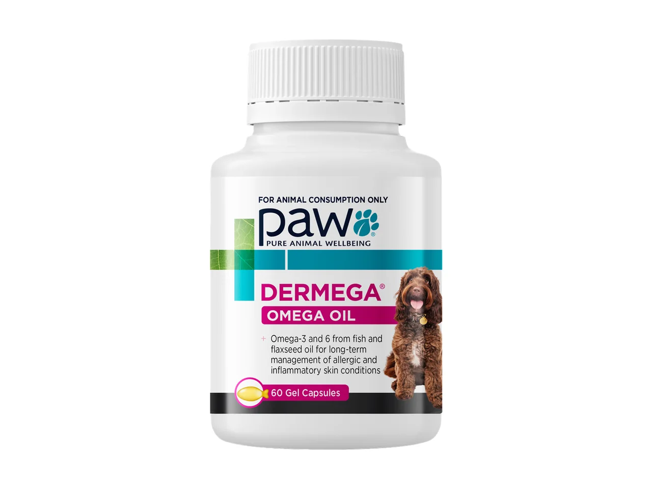 PAW by Blackmores Dermega Omega Oil Skin Support 60 Capsules pack